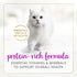 (Pack 24) 3 oz. Purina Fancy Feast Tender Beef and Liver Feast Classic Grain Free Wet Cat Food Pate - of Cans
