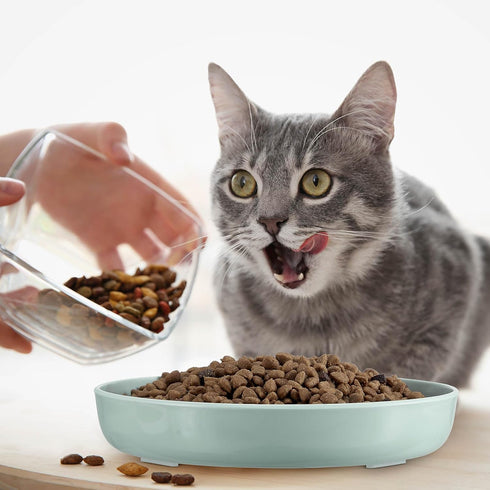 2 Pcs Cat Slow Feeder Bowl, Fun Interactive Cat Dish for Healthy Eating, Dishwasher Safe, Green, Pink