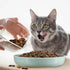 2 Pcs Cat Slow Feeder Bowl, Fun Interactive Cat Dish for Healthy Eating, Dishwasher Safe, Green, Pink