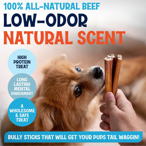(12 Inch, 10 Pack), 9 100% Odor-Free Thin Bully Sticks Ounce Bag, Fully Digestible Beef Pizzle Chews, Grass-Fed