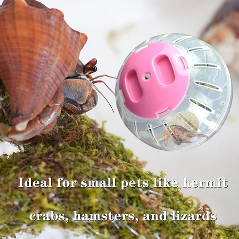 Dmykluc 1 Pcs Hermit Crab Toys Universal Hermit Crab Climbing Toys Ball Accessories for Small Pet