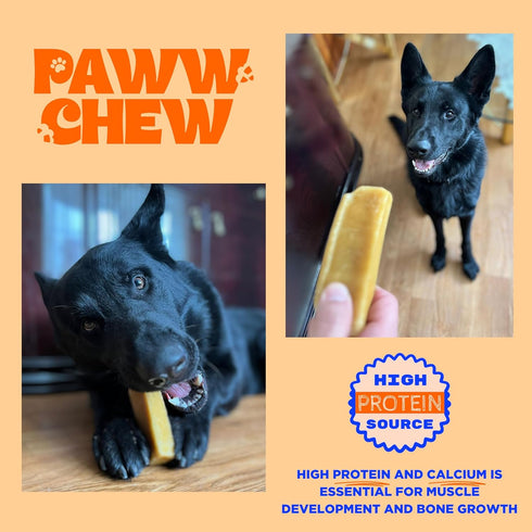 Yak Cheese Himalayan Dog Chews, All Natural Long Lasting Treats, (Monster - 2 Pack) Odorless High Protein Yak Chew