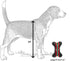 Dog Diggin Designs Runway Pup Collection - Unique Squeaky Plush Dog Toys, Prêt-à-Porter Dog Bones & More