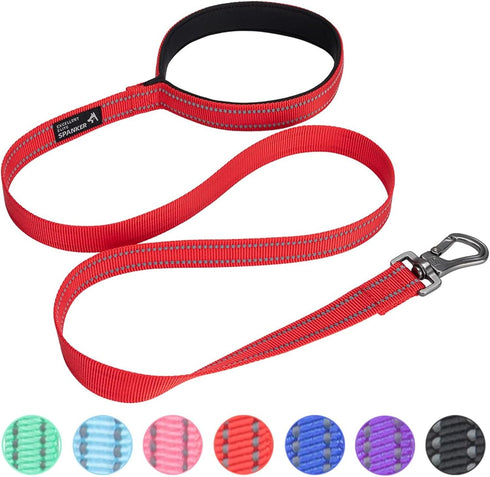 EXCELLENT ELITE SPANKER Durable Nylon Dog Training Leash, 4 Feet Long, 1" Wide with Handle for Small & Medium Dogs (Red)