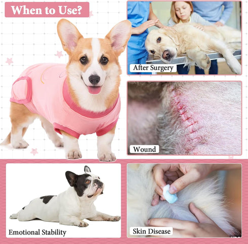 IDOMIK Dog Recovery Suit for Female Spay, Adjustable Anti-Licking Onesie, Soft Wound Bandage & E-Collar