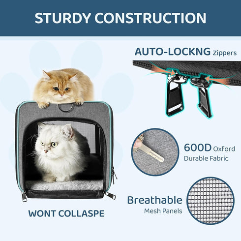 Cat Carrier, Airline Approved Soft-Sided Travel Bag for Medium Cats 15+ lbs & Small Dogs, Underseat Cabin L