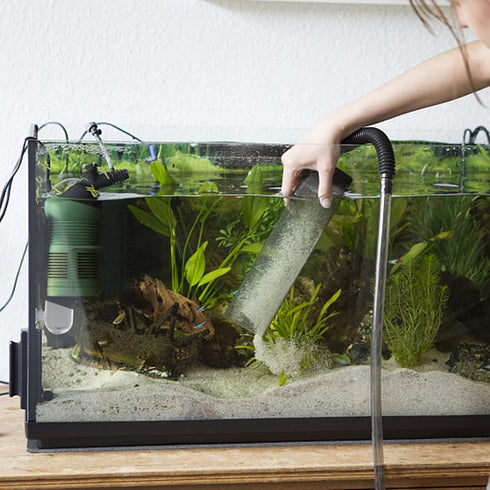 Mipcase 4Pcs Red Worm Feeder Dish with Suction Cup, Floating Fish Tank Feeding Bowl for Shrimp and Fish.