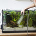 Mipcase 4Pcs Red Worm Feeder Dish with Suction Cup, Floating Fish Tank Feeding Bowl for Shrimp and Fish.