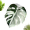 Generic Reptile Jumping Spider Toy, Realistic Leaf Shape Hermit Crab Accessory, Spider House