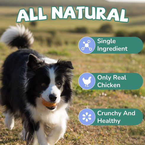 4.2 oz PAWUP Freeze Dried Chicken Necks Dog Treats, Single Ingredient Chicken Neck Chews, High Protein Treats