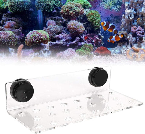 Zerodis Fish Acrylic Coral Bracket Base, Transparent Bracket Holder with 23 Holes for Aquarium Frag Plugs Rack