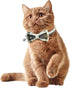KUDES 2 Pack Cat Collars Set, Breakaway Cat Collar with Cute Bow Tie and Bell, Adjustable for Kitten and Puppies