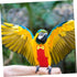 Stylish Washable Cockatiel Flight Diaper - Comfortable Bird Clothing