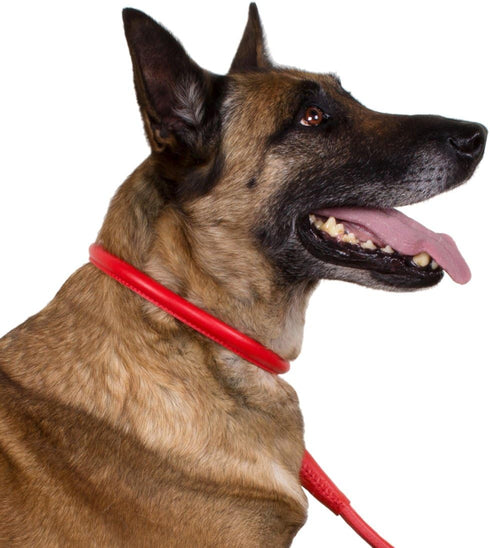 CollarDirect Rolled Leather Dog Collar, Soft Padded Round Puppy Collar, Handmade Genuine Leather, 6-7 Inch, Red Textured