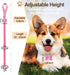 2 Pack Dog Door Bells Dog Doorbell to go Outside Puppy Train Bell for Dogs to Ring to go Potty Puppy Toilet Training