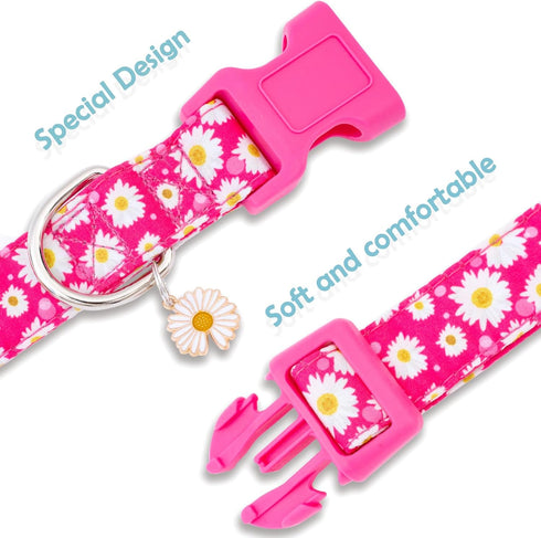 Faygarsle Cotton Dog Collar - Cute Collars for Small Medium Large Dogs, Hot Pink Floral Options, Soft Fancy Pet Collars