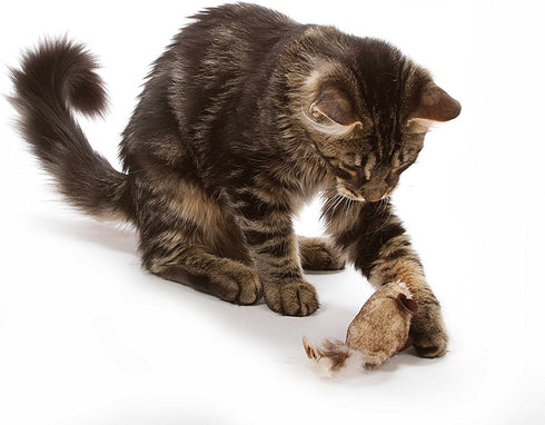 OurPet's Play-N-Squeak Twice the Mice Cat Toy, 2pc, Interactive Catnip Toy, Real Mouse Electronic Sound