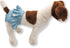 Pack of 4 Dog Female Diapers Sanitary Pants and Skirts Cotton for Small Pet Cat (S: Waist: 10" - 13").