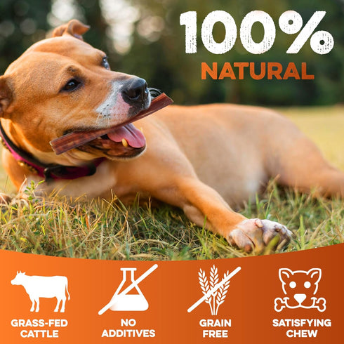 BRUTUS & BARNABY 6" Bully Sticks for Dogs, Low-to-No Odor, Grass-Fed Chews