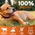BRUTUS & BARNABY 6" Bully Sticks for Dogs, Low-to-No Odor, Grass-Fed Chews