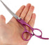 0 Inch Set 4 BESPORTBLE Pet Grooming Scissors Pieces Rose Purple Stainless Steel Dog Hair Scissors with Straight