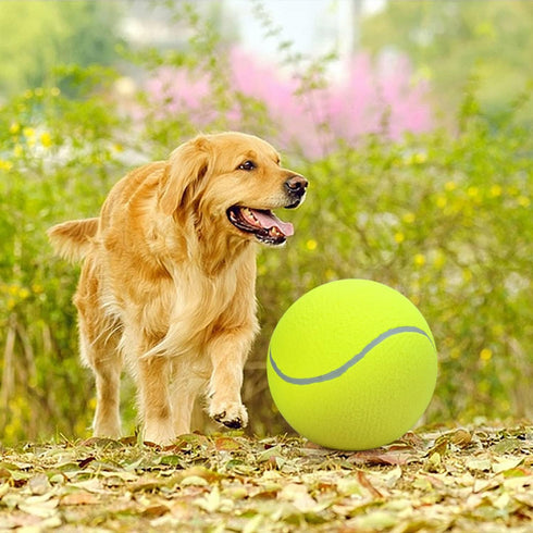 Pomeat 2 PCS Giant Tennis Balls for Dogs, 9.5" Inflatable Non-Toxic Chew Toy with Pump & Needle