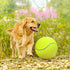 Pomeat 2 PCS Giant Tennis Balls for Dogs, 9.5" Inflatable Non-Toxic Chew Toy with Pump & Needle