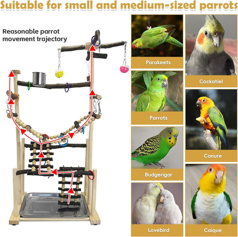 4 2 kathson Large Bird Playground - Natural Wood Perch Gym Layers Parrot Playstand Activity Center with Perches Ladder