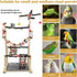 4 2 kathson Large Bird Playground - Natural Wood Perch Gym Layers Parrot Playstand Activity Center with Perches Ladder