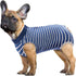 SAWMONG Blue Dog Recovery Suit, Post-Surgery Onesie for Female Dogs, XX-Large Size