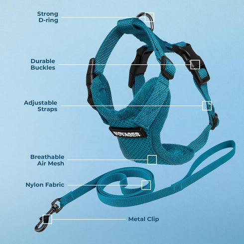 Best Pet Supplies Voyager Step-in Lock Adjustable Cat Harness with Leash Combo Set, Turquoise, XXS, 5ft Neoprene Handle