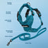 Best Pet Supplies Voyager Step-in Lock Adjustable Cat Harness with Leash Combo Set, Turquoise, XXS, 5ft Neoprene Handle