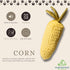 7" Plush Squeaky Toy for Small Dogs - Soft and Washable Corn Design