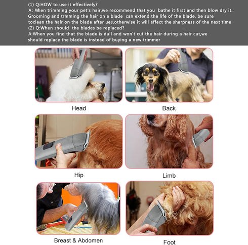 10 Blade Dog Grooming Clipper Replacement Blades, Compatible with Andis, Detachable Ceramic & Stainless Steel