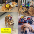 SEIS Pet Riding Costume Novelty Pet Supplies Cowboy Rider Horse Riding Designed Dog Apparel Party Clothing Halloween (M)