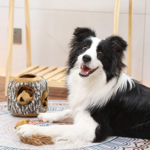 Laifug Hidden Squirrel Plush Dog Toy, Interactive Squeaky Hide and Seek Toy, Large
