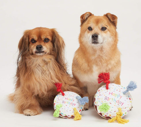 PET LONDON Dog Birthday Cake Squeaky Toy - Soft Plush with Rope Candles in Bright Colors for Dog Birthday Celebrations