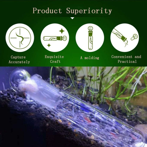 Planaria Trap Catch Trap for Aquarium, Clear Glass Leech Catcher Tube with 3 Holes for Cherry Shrimp and Dwarf Shrimp