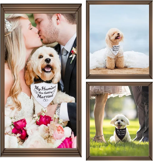 Wedding Dog Bandanas, My Humans are Getting Married, Dog Engagement Wedding Party Photo Prop Bandana, Small