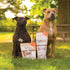 6 Inch 25 Pack FOODIEPAWS Thin Bully Sticks for Dogs, Bulk | All Natural, Grass-Fed Beef | High Protein, Rawhide-Free