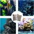 10 Pcs Tanks Filter Media Bags, Aquarium Media Bag, Aquarium Filter Bags, Fish Tank Media Mesh Filter Bags, with Zipper Reusable Aquarium Filter Media Bags.for Activated Carbon, Ceramic Rings, etc