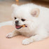 MON2SUN 10.6oz (30 Count Pack 1) Rawhide Free Dog Treats, Chicken Wrapped Purple Sweet Potato Snacks, Healthy