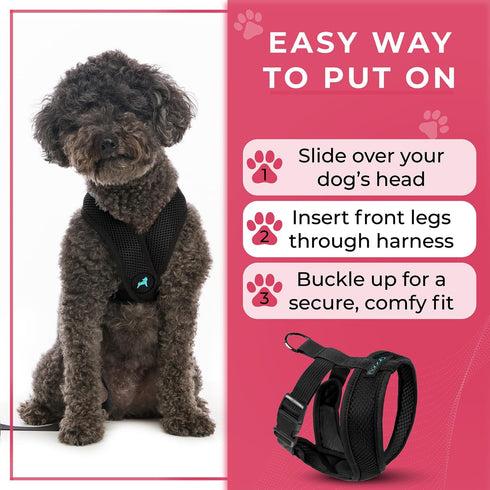 Gooby Comfort X Head in Harness, Black, Small - No Pull Dog Harness for Medium & Small Dogs