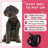 Gooby Comfort X Head in Harness, Black, Small - No Pull Dog Harness for Medium & Small Dogs