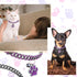 Hillban Cat Collar Diamond Chain Glitter Necklace with Secure Buckle and Paw Charm for Small Cats (Steel Black, Purple,