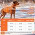 Reflective Dog Safety Vest for Medium Large Dogs, High Visibility Harness with Dog Bell for Hunting, Training & Cars