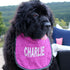 Customizable Dog Bib with Name - Stylish & Waterproof