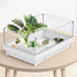 Reptile Artificial Plants, Terrarium Decorations Supplies, Aquarium Fish Tank Plant, Amphibian Habitat Accessories (L