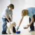 Rypet Dog Food Scoop Set of 4, Plastic Measuring Cups for Dog, Cat and Bird Food