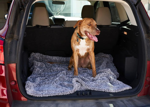 Pet Parents Pet Blanket | Water Resistant Dog Blanket for Small Medium Large Dogs, 24"x32"